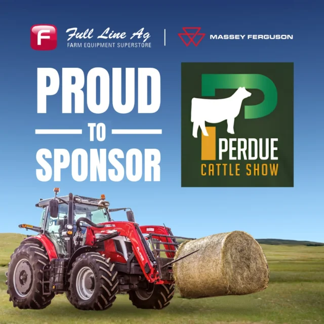 We are extremely proud to be a sponsor of the Perdue Junior Cattle Show this weekend!

We'd like to wish each exhibitor the best of luck, and we hope everyone has a great show! ❤🐮

#fulllineag #masseyferguson #masseyfergusonna #proudtosponsor #localsponsor #cattleshow #showcattle #agriculture #saskag #saskproducers #sponsor #perdue #saskcattle